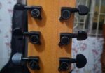Sandy S403n Pure Acoustic Guitar