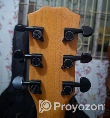Sandy S403n Pure Acoustic Guitar