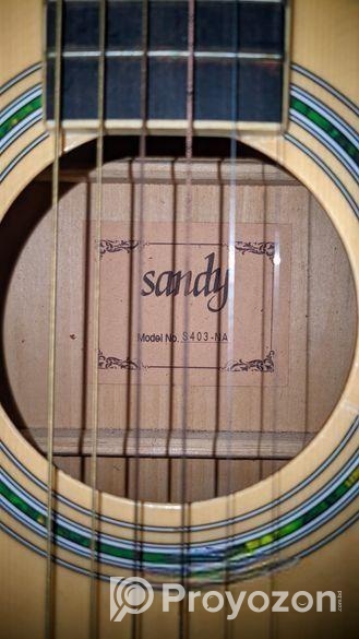 Sandy S403n Pure Acoustic Guitar