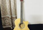 Tgm Premium Guitar