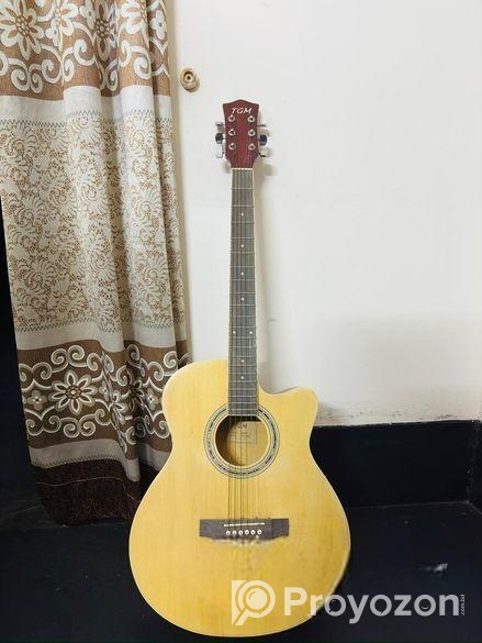 Tgm Premium Guitar