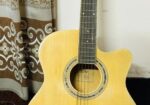 Tgm Premium Guitar