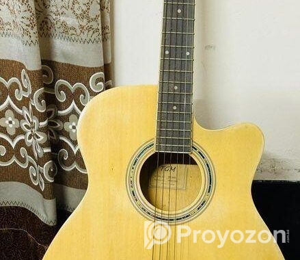 Tgm Premium Guitar