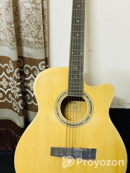 Tgm Premium Guitar