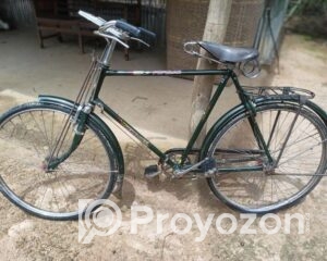 fitted-2025-07-23T194835.033_2025-07-23_19-53-00-Copy