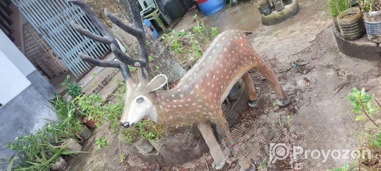 হরিণ বিক্রি হবে