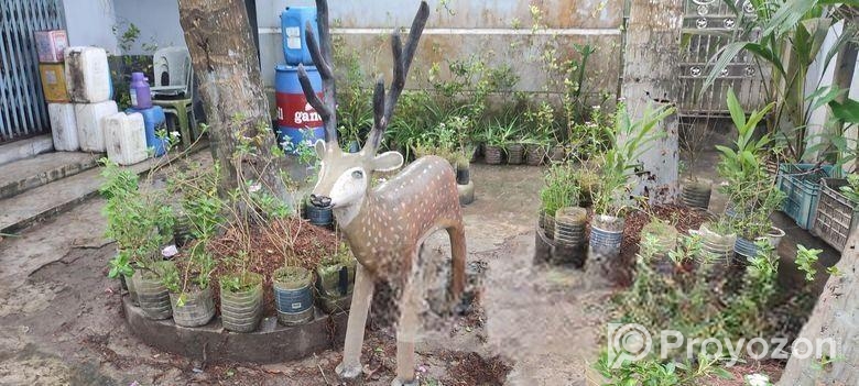 হরিণ বিক্রি হবে