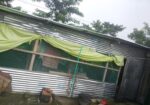 মুরগির খামারের ঘর