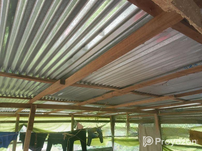 মুরগির খামারের ঘর