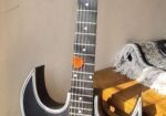 Guitar sell