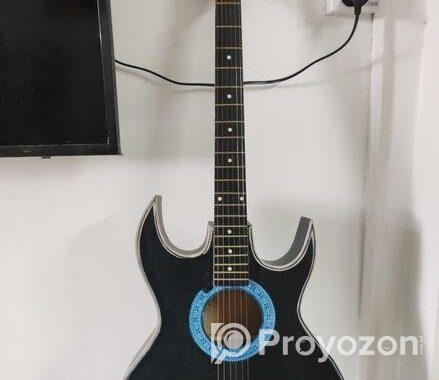 Guitar only