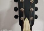 Guitar only