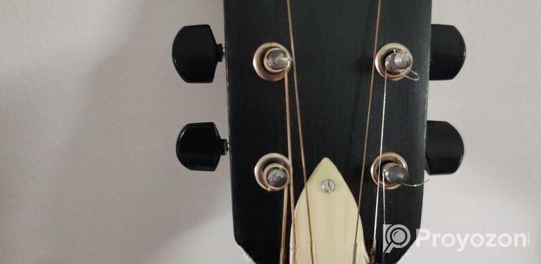 Guitar only