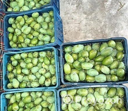 নিজ বাগানের ফর্মালিন মুক্ত আম!.
