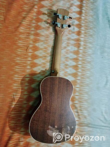 Hola ukulele 24inch concert size