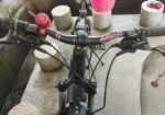 Notun cycle sell
