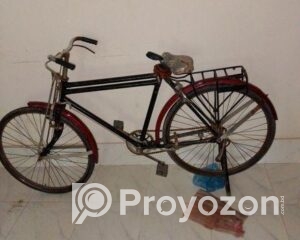 fitted-2025-07-24T131839.805_2025-07-24_13-19-05