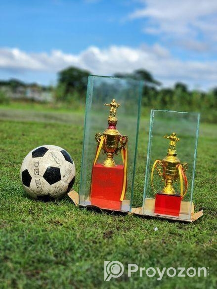 ফুট বল কাপ for sell