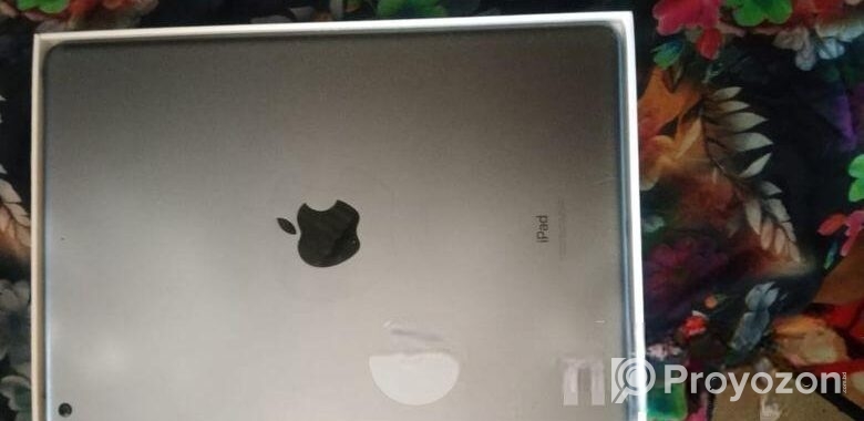 Apple I Pad(9th G) (Used)