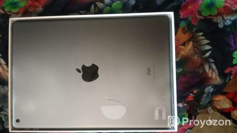 Apple I Pad(9th G) (Used)