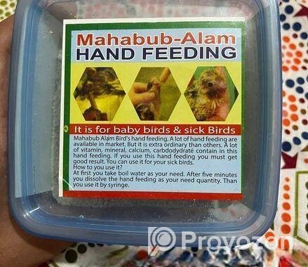Hand Feeding All Items