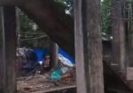 সীতাকুণ্ড বাঁশবাডীয়া বাজার