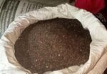 হাতে গড়া ভালো তিল