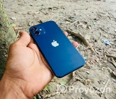 Apple iPhone 12 (Used)