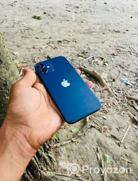 Apple iPhone 12 (Used)