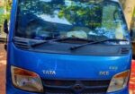 Tata ex2 2019