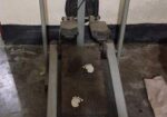 Analog treadmill