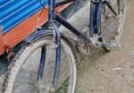 Duranta Bicycle for sale
