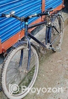 Duranta Bicycle for sale