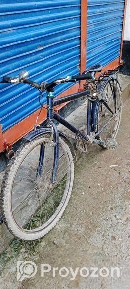 Duranta Bicycle for sale