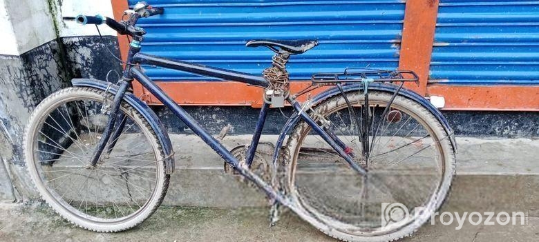 Duranta Bicycle for sale