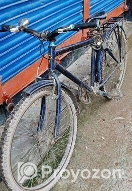 Duranta Bicycle for sale