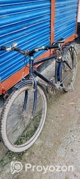 Duranta Bicycle for sale
