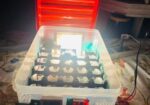 Auto Incubator (27pc)