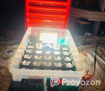 Auto Incubator (27pc)