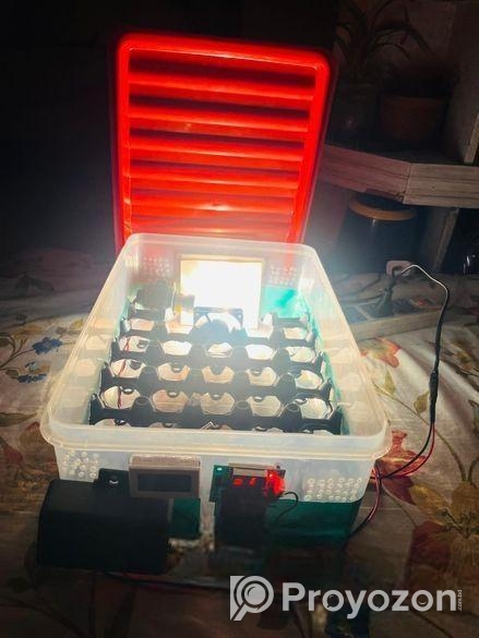 Auto Incubator (27pc)