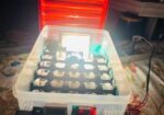 Auto Incubator (27pc)