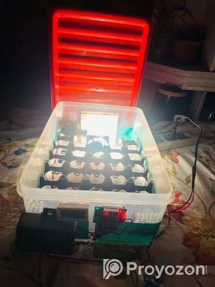 Auto Incubator (27pc)