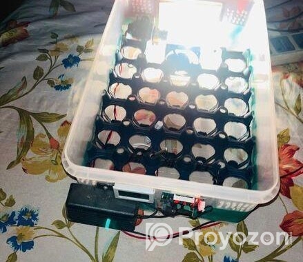 Auto Incubator (27pc)