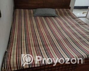 fitted-2025-07-28T202009.492_2025-07-28_20-21-34