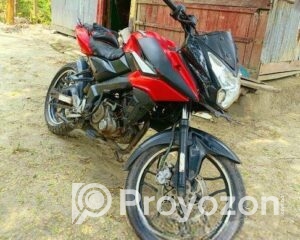 fitted-2025-07-29T125925.936_2025-07-29_13-00-21