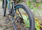 Cyrus(g) Bicycle