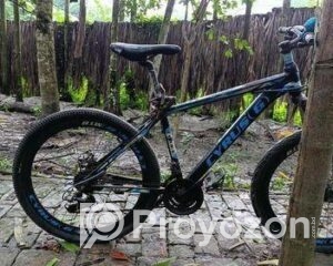 fitted-2025-07-29T134848.670_2025-07-29_13-49-26