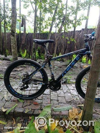 Cyrus(g) Bicycle