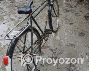 fitted-2025-07-30T094140.612_2025-07-30_09-42-09