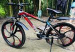 Phoenix Bicycle for sale